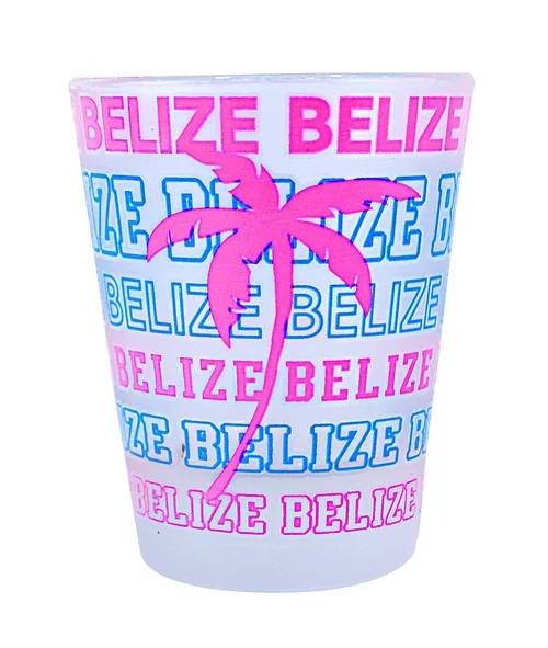 Palm Tree Belize Shot Glass