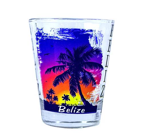 Coconut Tree Belize Shot Glass