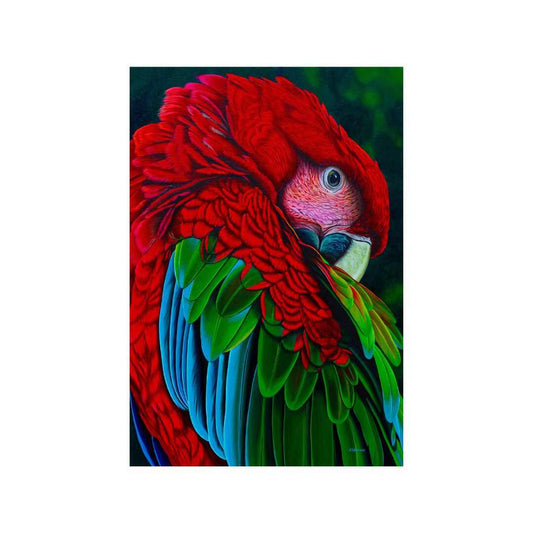 Green Wing Macaw Acrylic Painting By Kelvin Baizar