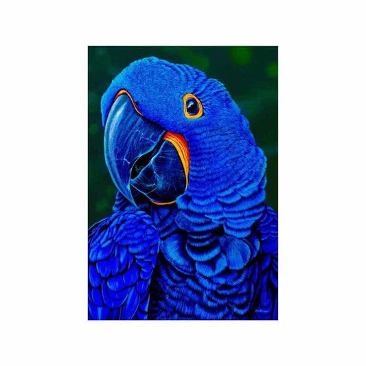 Hyacinth Macaw Acrylic Painting By Kelvin Baizar